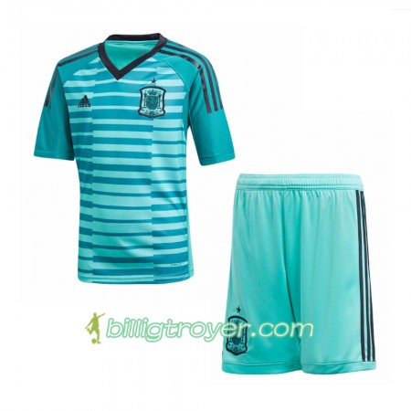 Billige Fotballdrakter Spania Keeper Barn VM 2018 Hjemmedraktsett