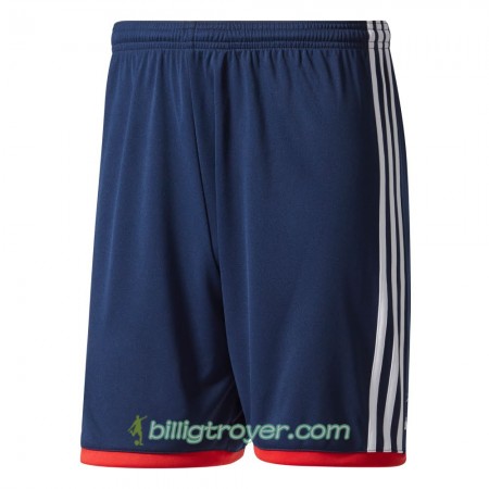 FC Bayern München Kortebukser Borte 2017/18