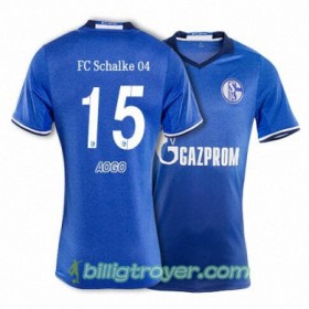 Billige Fotballdrakter FC Schalke 04 AOGO 15 Hjemmedraktsett 2017/18 Kortermet