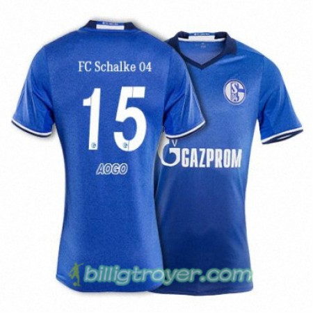 Billige Fotballdrakter FC Schalke 04 AOGO 15 Hjemmedraktsett 2017/18 Kortermet