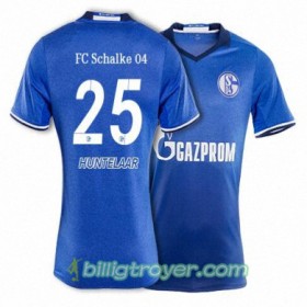 Billige Fotballdrakter FC Schalke 04 HUNTELAAR 25 Hjemmedraktsett 2017/18 Kortermet