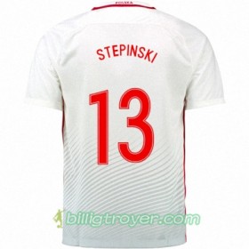 Billige Fotballdrakter Polen MARIUSZ STEPINSKI Hjemmedraktsett Euro 2016