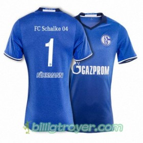 Billige Fotballdrakter FC Schalke 04 FAHRMANN 1 Hjemmedraktsett 2017/18 Kortermet