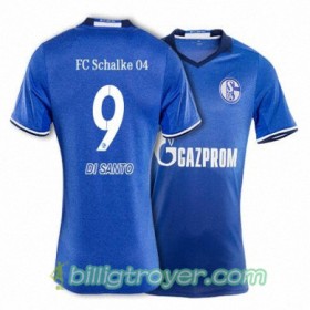 Billige Fotballdrakter FC Schalke 04 DI SANTO 9 Hjemmedraktsett 2017/18 Kortermet