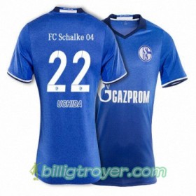 Billige Fotballdrakter FC Schalke 04 UCHIDA 22 Hjemmedraktsett 2017/18 Kortermet