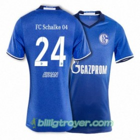 Billige Fotballdrakter FC Schalke 04 AYHAN 24 Hjemmedraktsett 2017/18 Kortermet
