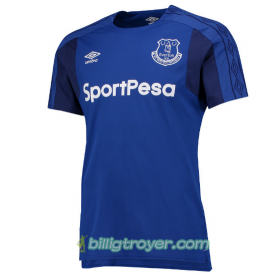 Billige Fotballdrakter Everton Hjemmedraktsett 2017/18 Kortermet