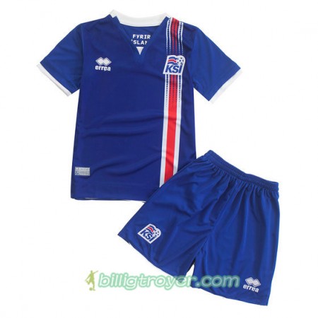 Billige Fotballdrakter Island Barn Hjemmedraktsett Euro 2016
