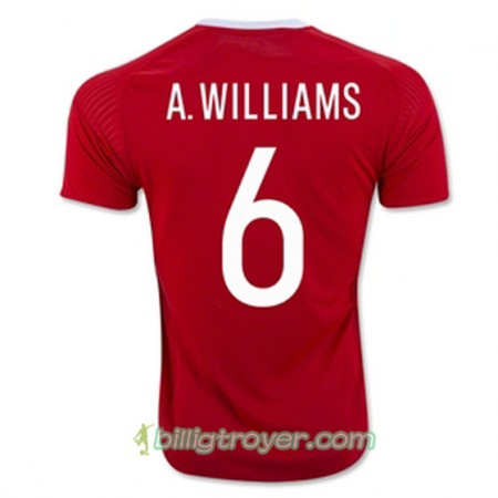 Billige Fotballdrakter Wales A WILLIAMS Hjemmedraktsett Euro 2016