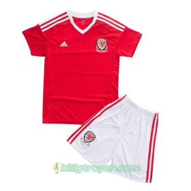 Billige Fotballdrakter Wales Barn Hjemmedraktsett Euro 2016